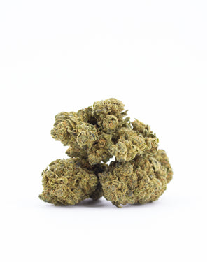 Premium Leckerschmecker ORange Bud CBD Blüten