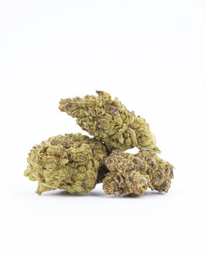 CBD Blüten White Widow (2g | 5g)